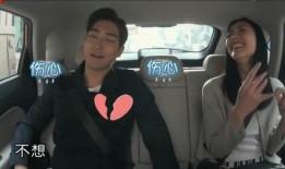 在线观看欧巴,欧巴魅力席卷屏幕